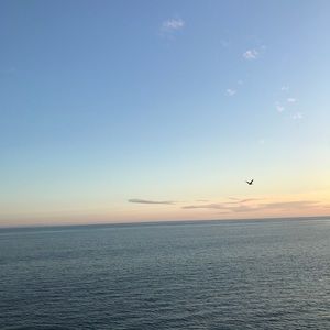 Meet your Posher, Meghan